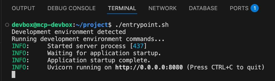 Run your DevBox project from the entrypoint script
